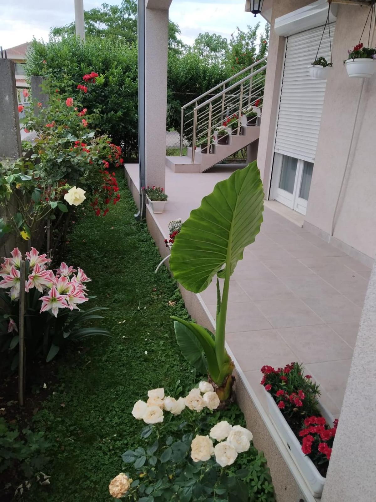 Entire House Floor - 2-Bedroom Cozy & Peaceful Apartment Podgorica Luaran gambar