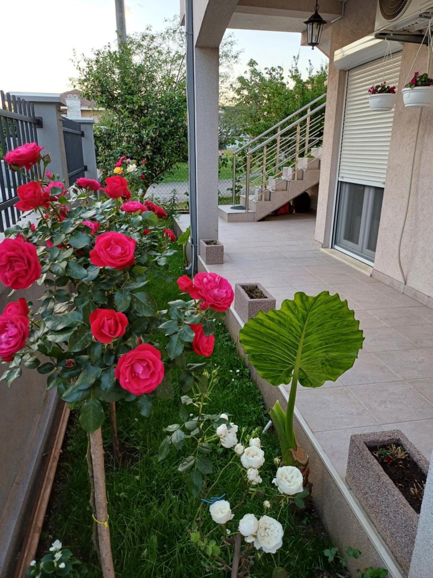 Entire House Floor - 2-Bedroom Cozy & Peaceful Apartment Podgorica Luaran gambar
